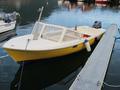 Hillestad boat 17,5/25 hp/GF